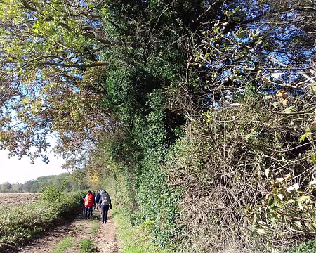 027 Le chemin du Luat