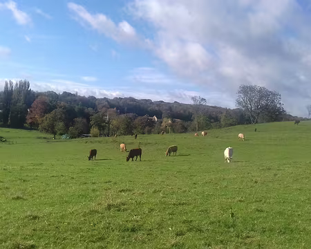 030 La campagne à Piscop vue du chemin de Bériot
