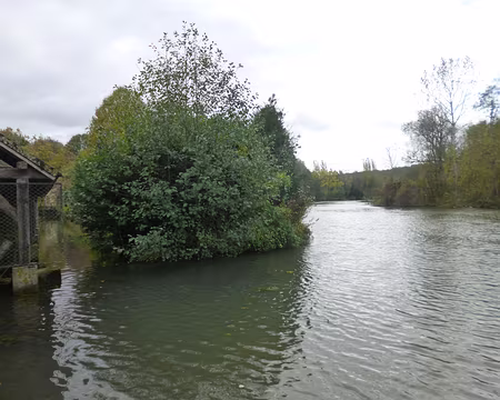 P1180333 Confluent du ru du Morion et du Loing à Souppes.