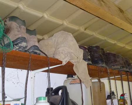 P1180345 Collection de chaussures de Claude