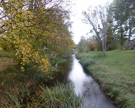 P1180359 Le ru du Morion