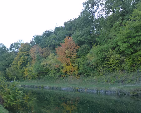 P1180366 Le canal du Loing