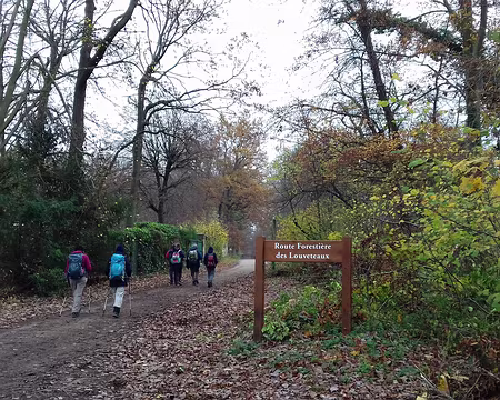 027 Arrivée dans la forêt domaniale de L’Isle-Adam par la route forestière des Louveteaux