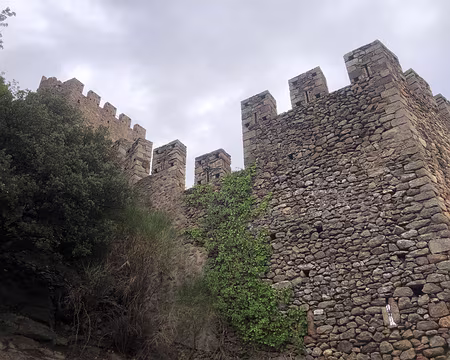 IMG_4519 Remparts du château