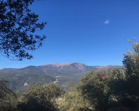 IMG_4458 au loin le Canigou