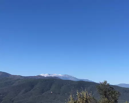 IMG_4496 Canigou enneigé