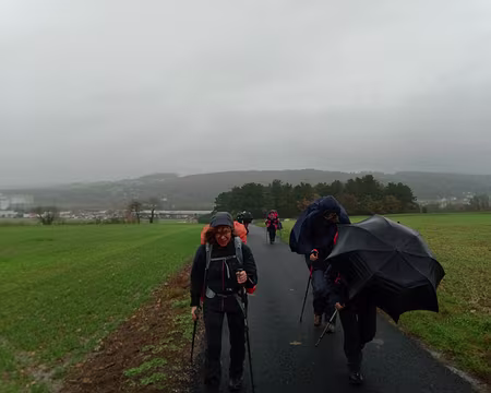 IMG_20231118_104831590