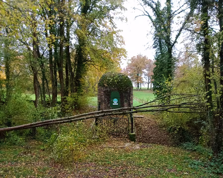 IMG_20231118_122516805