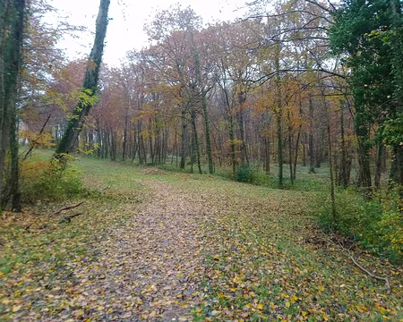 IMG_20231118_141752587