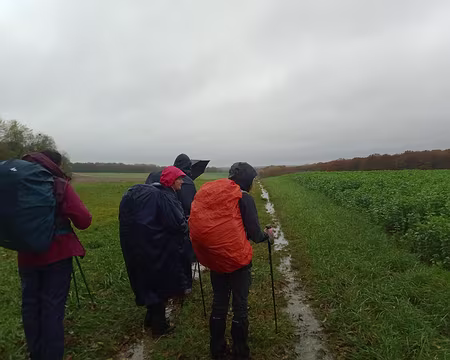 IMG_20231118_142501858