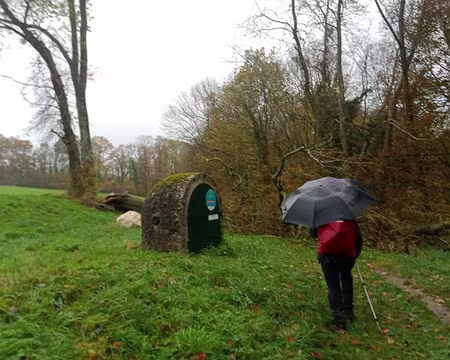 IMG_20231118_155456345