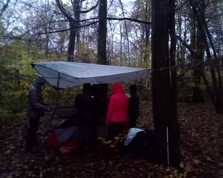 IMG_20231118_165436266