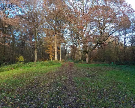 IMG_20231119_093955070