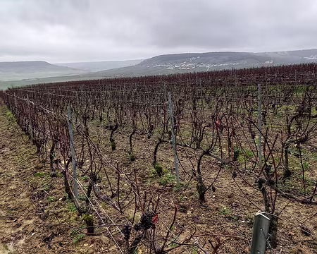 20231209_105936-01 Au loin St Martin d’Ablois