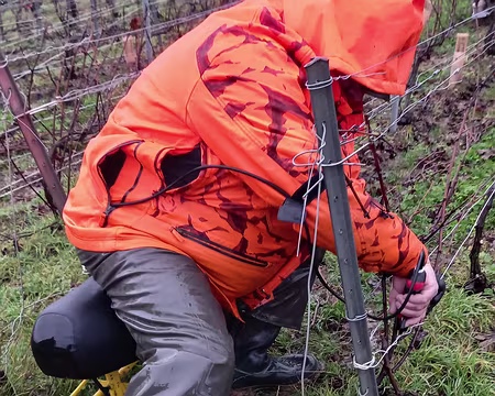 20231209_110730-01 En décembre, c'est la taille, ici avec un sécateur électrique.