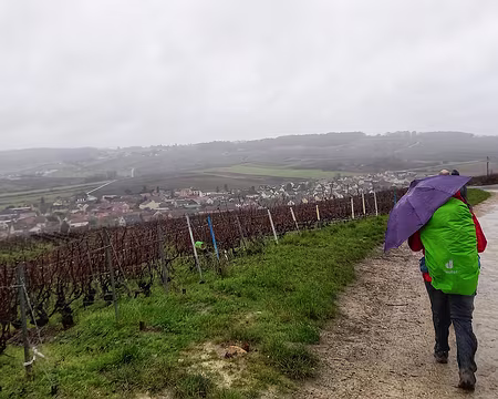 20231209_114413-01 Un temps très perturbé