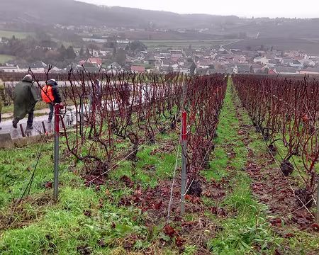 20231209_114522-01 Vinay