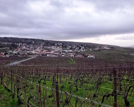 20231210_090950-01 Champillon