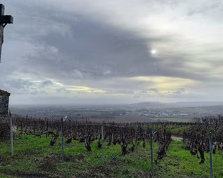 20231210_102521-01 Sur le côteau face à Épernay