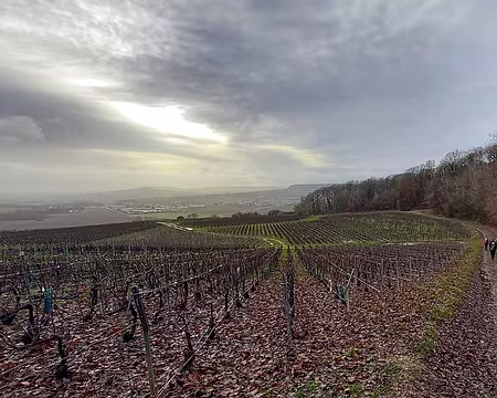 20231210_102915-01 Descente sur Damery