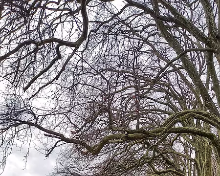 20231210_115001-01 Chaussée de Damery