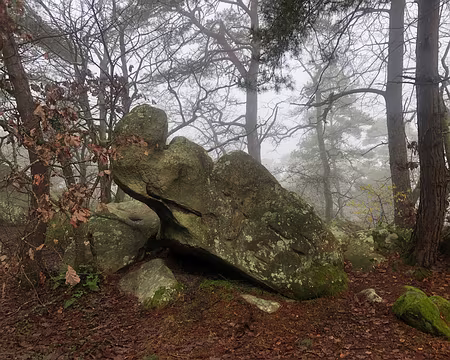 IMG_4764 rhinocéros attendant son sucre