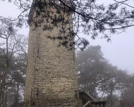 IMG_4765 tour de Samois