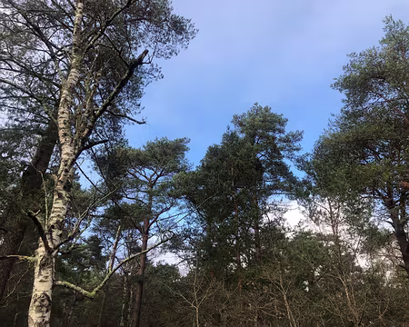 IMG_4770 un instant de ciel bleu