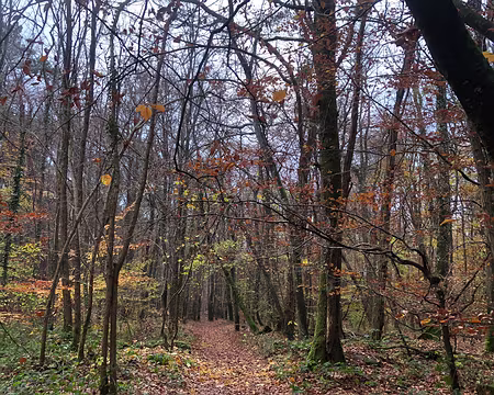 IMG_4709 soleil d’hiver