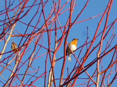 2023-12 Saint-Chéron