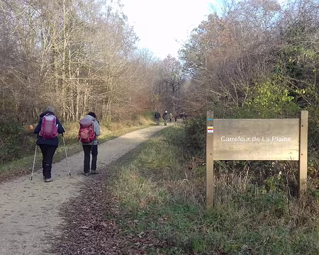 002 Le matin, randonnée dans la partie sud de la forêt domaniale de Sénart sur le GR de Pays du sud parisien