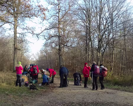 004 Pause matinale au carrefour forestier de la Tour