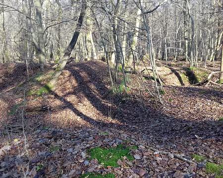 015 Vestiges des anciennes tranchées de la Première Guerre mondiale
