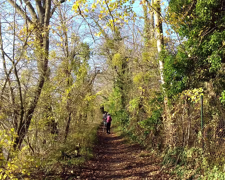 032 Lumière d’automne sur le chemin du Port aux Dames (Draveil)