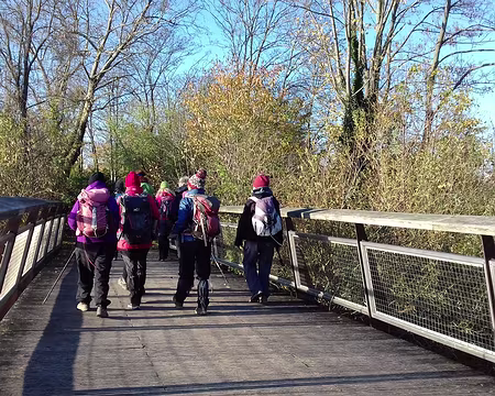 035 Passerelle sur le chenal de liaison entre la Fosse aux Carpes et la Seine