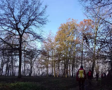 006 La forêt de Meudon est constituée de feuillus (châtaigniers et chênes)