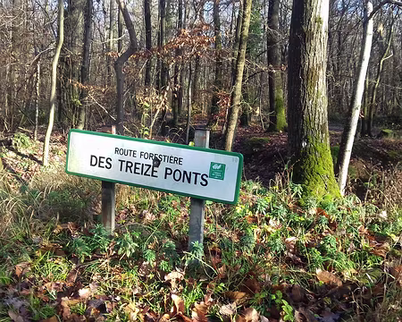 015 La route forestière des Treize Ponts