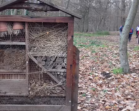 033 Un hôtel à insectes …