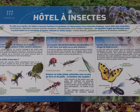 034 pour tous les insectes