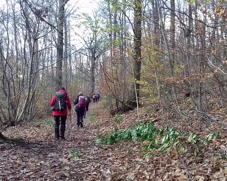 040 Direction la gare de La Celle-Saint-Cloud