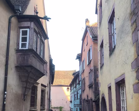 marche de noel image 01