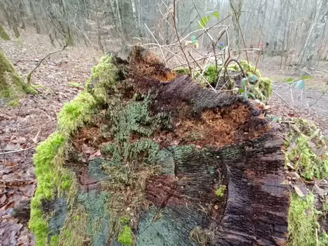 2024-01 Le Perray-en-Yvelines