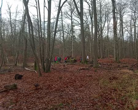 IMG_20240106_124159780