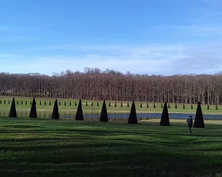 014 Topiaires dans le parc de l’ancien château de Marly, résidence de plaisance du roi Louis XIV