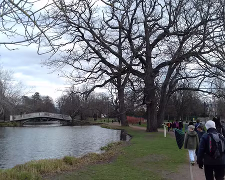 042 La passerelle permet d’accéder à l’île des Ibis