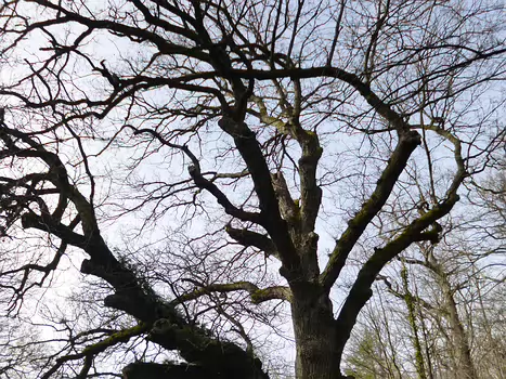 2024-01 Vaux-de-Cernay