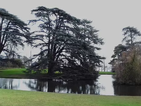 2024-01 Ville d'Avray