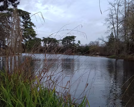 035 Les berges du lac