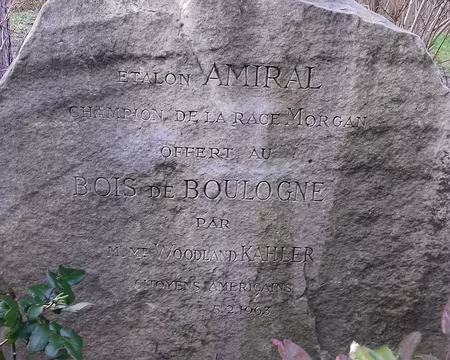 038 Quelques précisions