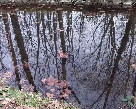 040 Merci Jean-Luc pour cette belle randonnée aux portes de Paris